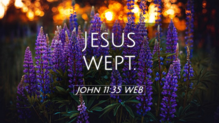 Picture 05 - John 11:35 WEB Desktop Wallpaper - Jesus - Desktop Bible Verse Wallpaper