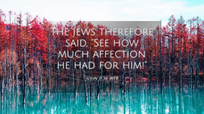Picture 05 - John 11:36 WEB Desktop Wallpaper - The Jews therefore said, 