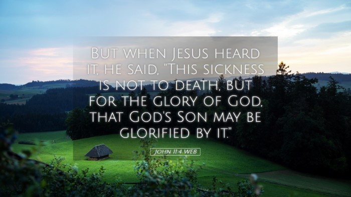 Picture 05 - John 11:4 WEB Desktop Wallpaper - But when Jesus heard it, he said, 