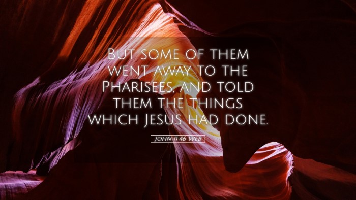 Picture 05 - John 11:46 WEB Desktop Wallpaper - But some of them went away to the Pharisees, and - Desktop Bible Verse Wallpaper