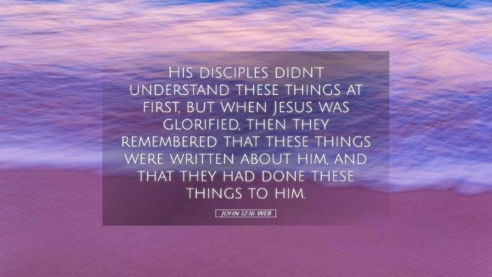 Picture 05 - John 12:16 WEB Desktop Wallpaper - His disciples didn't understand these things at - Desktop Bible Verse Wallpaper