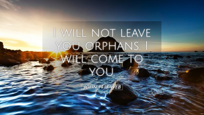 Picture 05 - John 14:18 WEB Desktop Wallpaper - I will not leave you orphans. I will come to - Desktop Bible Verse Wallpaper