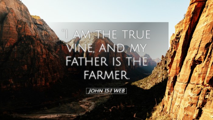 Picture 05 - John 15:1 WEB Desktop Wallpaper - 