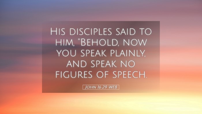Picture 05 - John 16:29 WEB Desktop Wallpaper - His disciples said to him, 