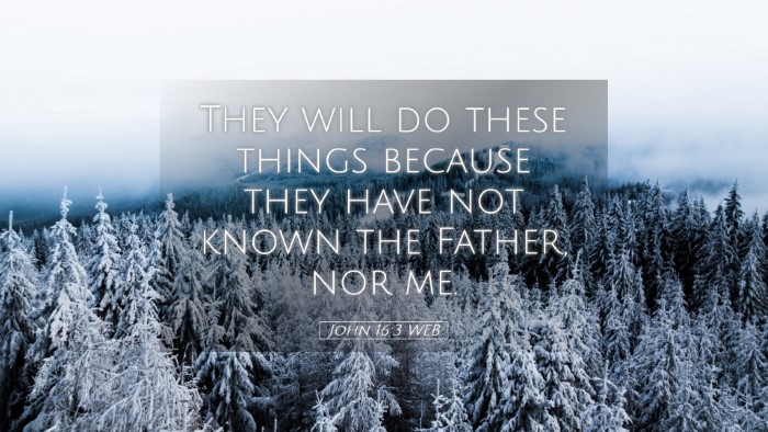 Picture 05 - John 16:3 WEB Desktop Wallpaper - They will do these things because they have not - Desktop Bible Verse Wallpaper