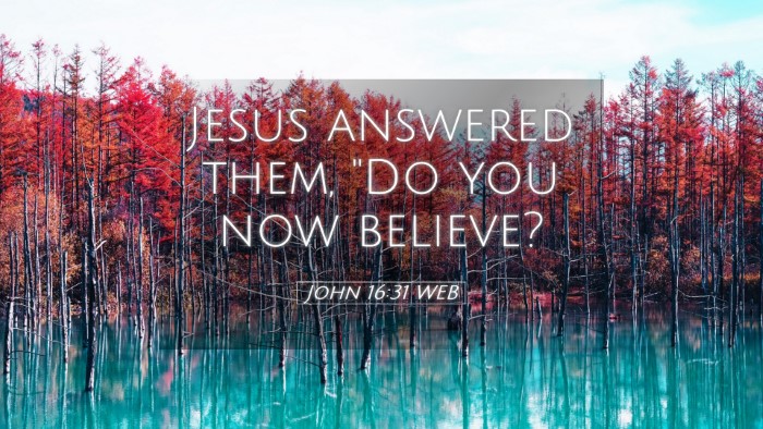 Picture 05 - John 16:31 WEB Desktop Wallpaper - Jesus answered them, 