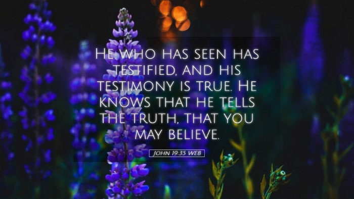 Picture 05 - John 19:35 WEB Desktop Wallpaper - He who has seen has testified, and his testimony - Desktop Bible Verse Wallpaper