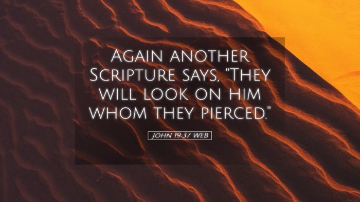 Picture 05 - John 19:37 WEB Desktop Wallpaper - Again another Scripture says, 