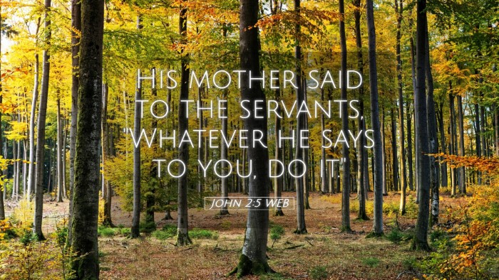 Picture 05 - John 2:5 WEB Desktop Wallpaper - His mother said to the servants, 