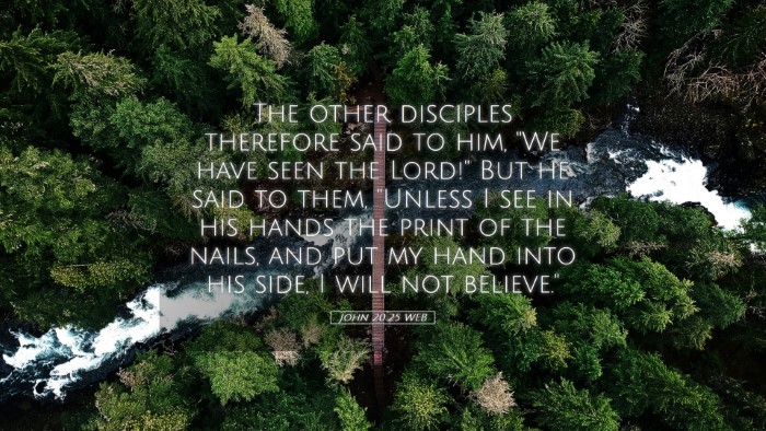 Picture 05 - John 20:25 WEB Desktop Wallpaper - The other disciples therefore said to him, 