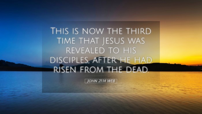Picture 05 - John 21:14 WEB Desktop Wallpaper - This is now the third time that Jesus was - Desktop Bible Verse Wallpaper
