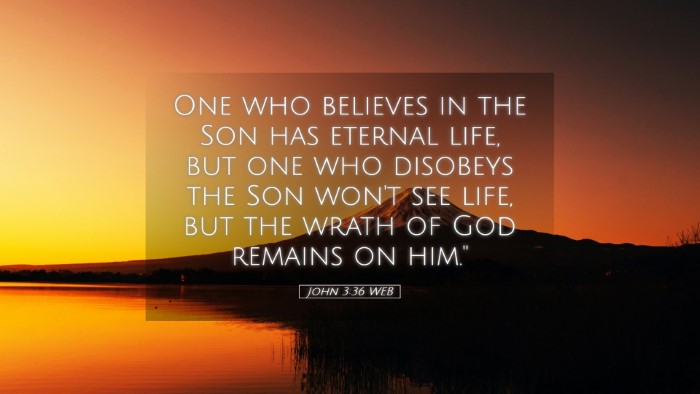 Picture 05 - John 3:36 WEB Desktop Wallpaper - One who believes in the Son has eternal life, but - Desktop Bible Verse Wallpaper