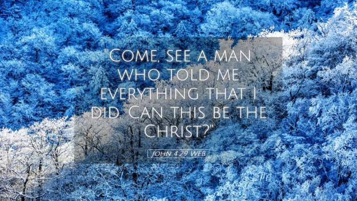 Picture 05 - John 4:29 WEB Desktop Wallpaper - 