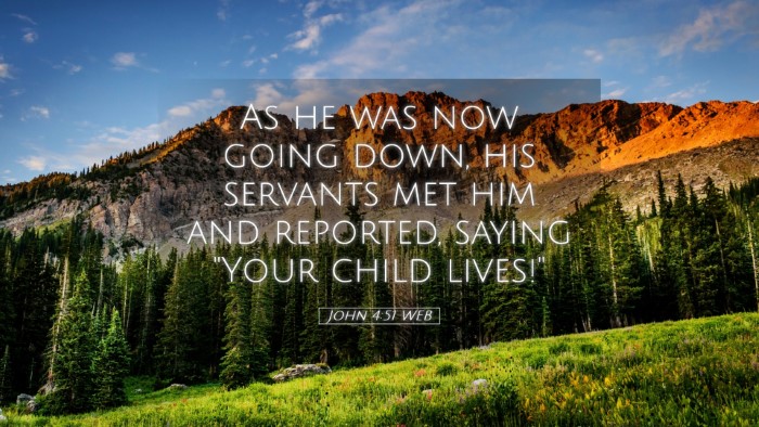 Picture 05 - John 4:51 WEB Desktop Wallpaper - As he was now going down, his servants met him - Desktop Bible Verse Wallpaper
