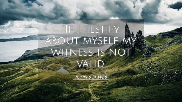 Picture 05 - John 5:31 WEB Desktop Wallpaper - 
