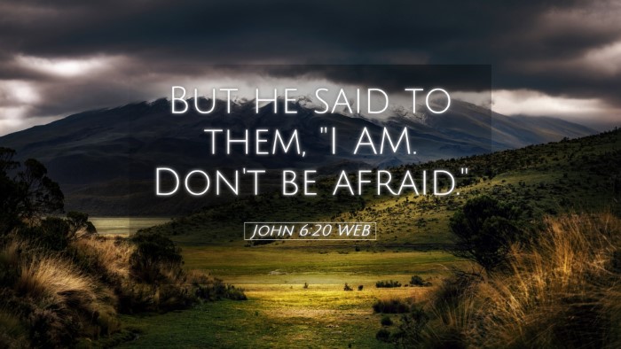 Picture 05 - John 6:20 WEB Desktop Wallpaper - But he said to them, 