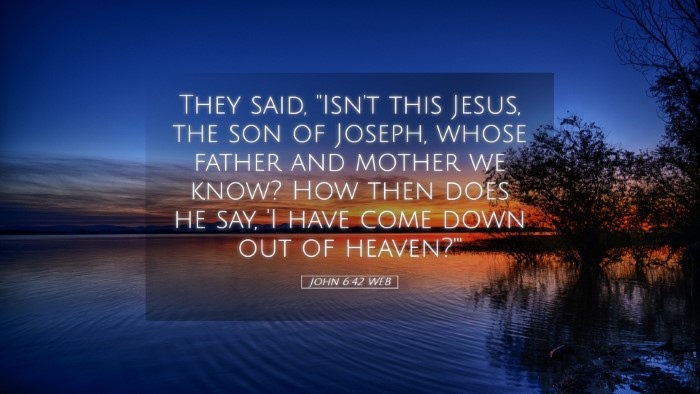 Picture 05 - John 6:42 WEB Desktop Wallpaper - They said, 