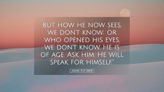 Picture 05 - John 9:21 WEB Desktop Wallpaper - but how he now sees, we don't know; or who opened - Desktop Bible Verse Wallpaper