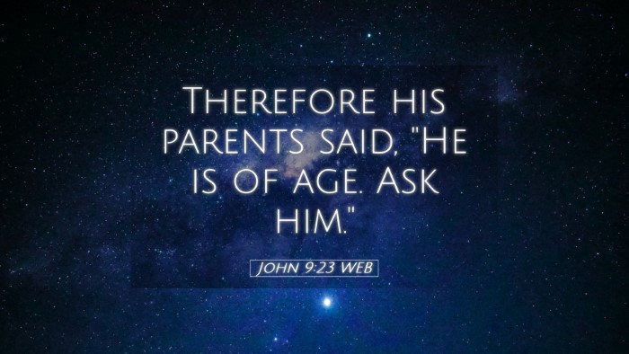 Picture 05 - John 9:23 WEB Desktop Wallpaper - Therefore his parents said, 