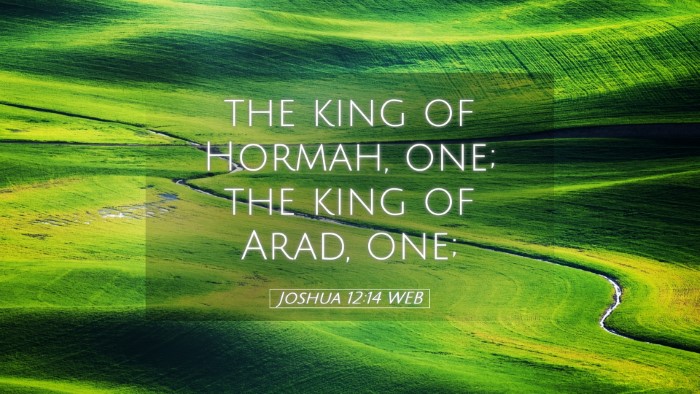 Picture 05 - Joshua 12:14 WEB Desktop Wallpaper - the king of Hormah, one; the king of Arad, - Desktop Bible Verse Wallpaper