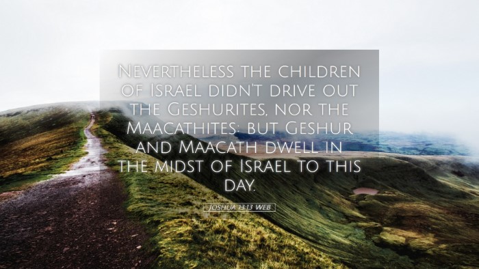 Picture 05 - Joshua 13:13 WEB Desktop Wallpaper - Nevertheless the children of Israel didn't drive - Desktop Bible Verse Wallpaper