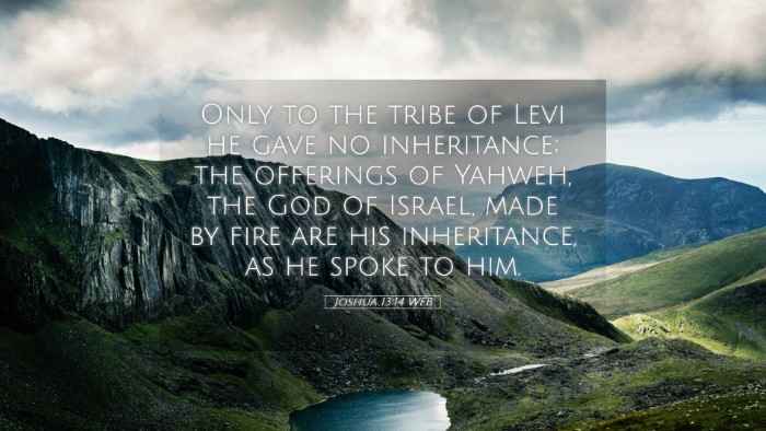 Picture 05 - Joshua 13:14 WEB Desktop Wallpaper - Only to the tribe of Levi he gave no inheritance; - Desktop Bible Verse Wallpaper