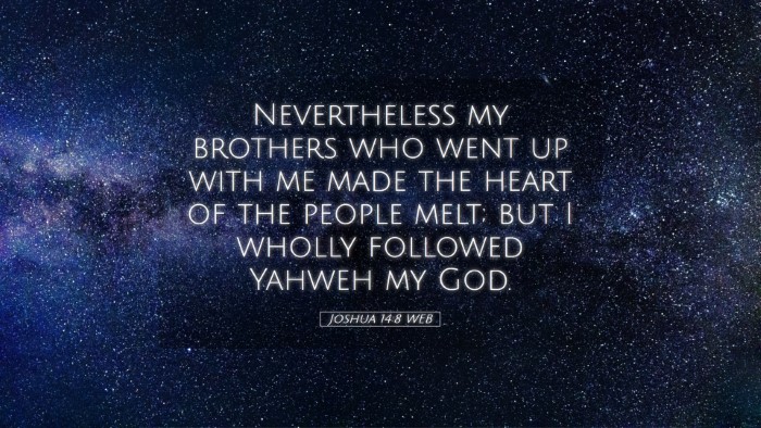 Picture 05 - Joshua 14:8 WEB Desktop Wallpaper - Nevertheless my brothers who went up with me made - Desktop Bible Verse Wallpaper