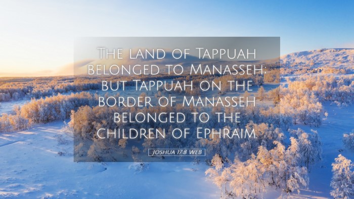 Picture 05 - Joshua 17:8 WEB Desktop Wallpaper - The land of Tappuah belonged to Manasseh; but - Desktop Bible Verse Wallpaper