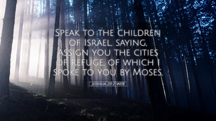 Picture 05 - Joshua 20:2 WEB Desktop Wallpaper - Speak to the children of Israel, saying, Assign - Desktop Bible Verse Wallpaper