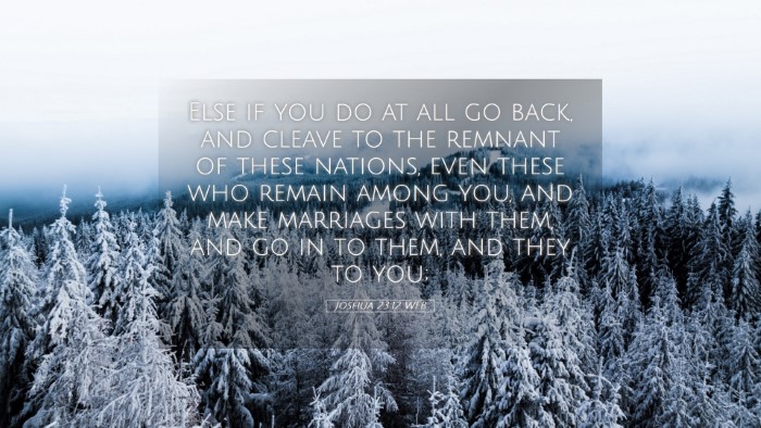 Picture 05 - Joshua 23:12 WEB Desktop Wallpaper - Else if you do at all go back, and cleave to the - Desktop Bible Verse Wallpaper