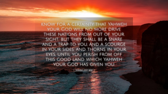 Picture 05 - Joshua 23:13 WEB Desktop Wallpaper - know for a certainty that Yahweh your God will no - Desktop Bible Verse Wallpaper
