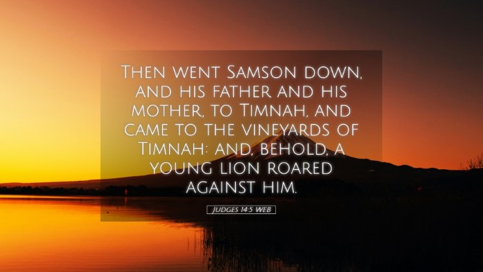 Picture 05 - Judges 14:5 WEB Desktop Wallpaper - Then went Samson down, and his father and his - Desktop Bible Verse Wallpaper