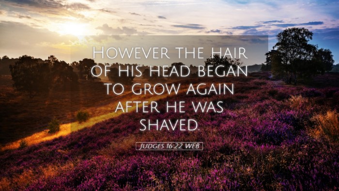 Picture 05 - Judges 16:22 WEB Desktop Wallpaper - However the hair of his head began to grow again - Desktop Bible Verse Wallpaper