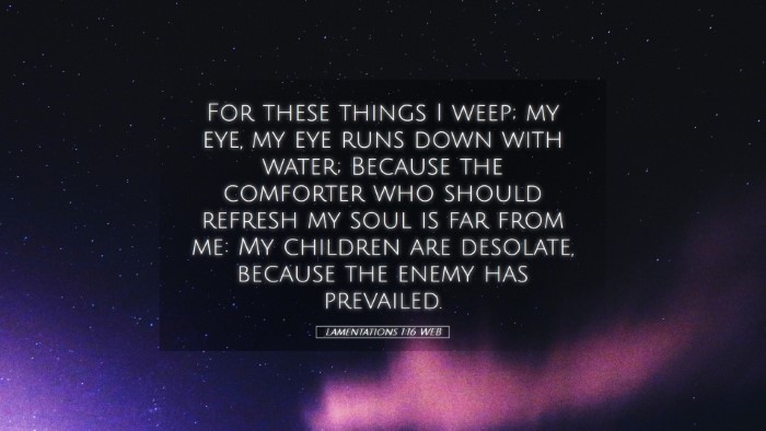Picture 05 - Lamentations 1:16 WEB Desktop Wallpaper - For these things I weep; my eye, my eye runs down - Desktop Bible Verse Wallpaper