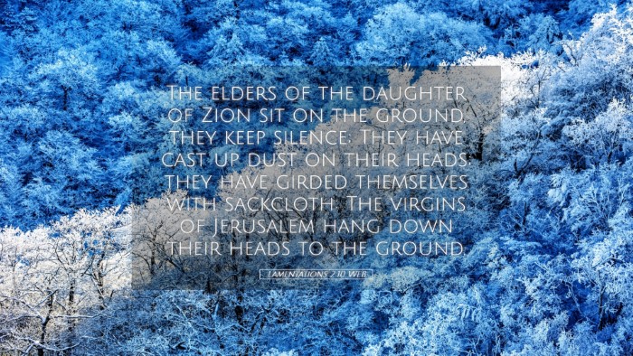 Picture 05 - Lamentations 2:10 WEB Desktop Wallpaper - The elders of the daughter of Zion sit on the - Desktop Bible Verse Wallpaper