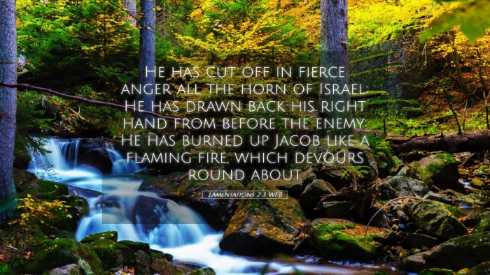 Picture 05 - Lamentations 2:3 WEB Desktop Wallpaper - He has cut off in fierce anger all the horn of - Desktop Bible Verse Wallpaper