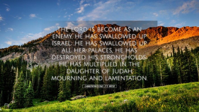 Picture 05 - Lamentations 2:5 WEB Desktop Wallpaper - The Lord is become as an enemy, he has swallowed - Desktop Bible Verse Wallpaper
