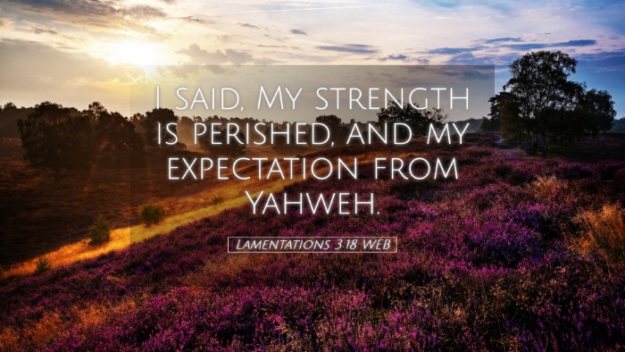 Picture 05 - Lamentations 3:18 WEB Desktop Wallpaper - I said, My strength is perished, and my - Desktop Bible Verse Wallpaper