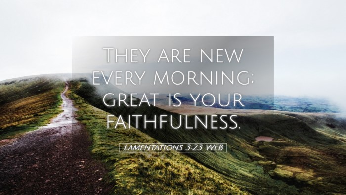 Picture 05 - Lamentations 3:23 WEB Desktop Wallpaper - They are new every morning; great is your - Desktop Bible Verse Wallpaper