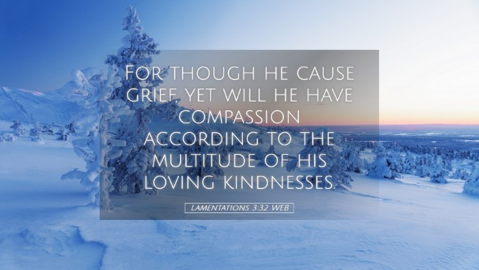 Picture 05 - Lamentations 3:32 WEB Desktop Wallpaper - For though he cause grief, yet will he have - Desktop Bible Verse Wallpaper