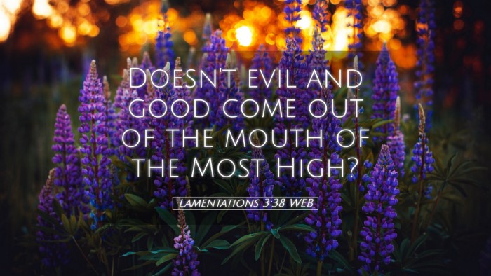 Picture 05 - Lamentations 3:38 WEB Desktop Wallpaper - Doesn't evil and good come out of the mouth of - Desktop Bible Verse Wallpaper