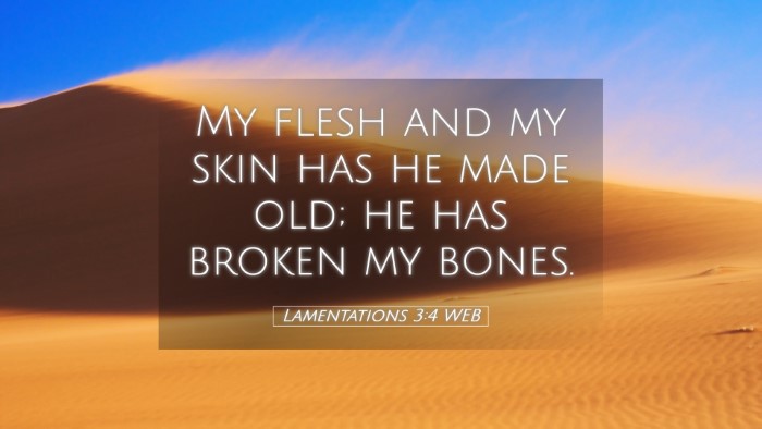 Picture 05 - Lamentations 3:4 WEB Desktop Wallpaper - My flesh and my skin has he made old; he has - Desktop Bible Verse Wallpaper