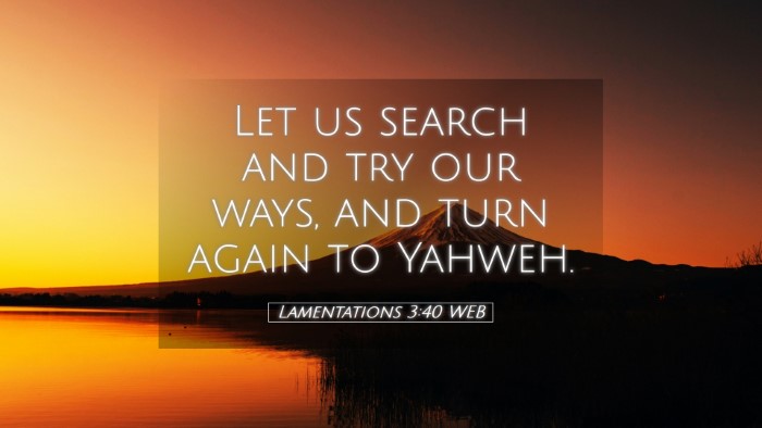 Picture 05 - Lamentations 3:40 WEB Desktop Wallpaper - Let us search and try our ways, and turn again to - Desktop Bible Verse Wallpaper
