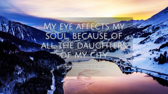 Picture 05 - Lamentations 3:51 WEB Desktop Wallpaper - My eye affects my soul, because of all the - Desktop Bible Verse Wallpaper