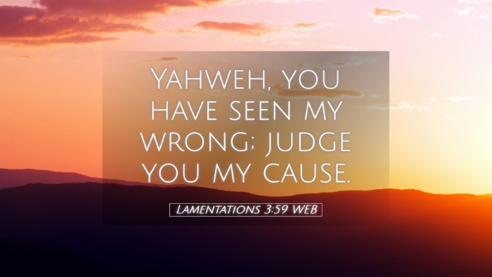 Picture 05 - Lamentations 3:59 WEB Desktop Wallpaper - Yahweh, you have seen my wrong; judge you my - Desktop Bible Verse Wallpaper