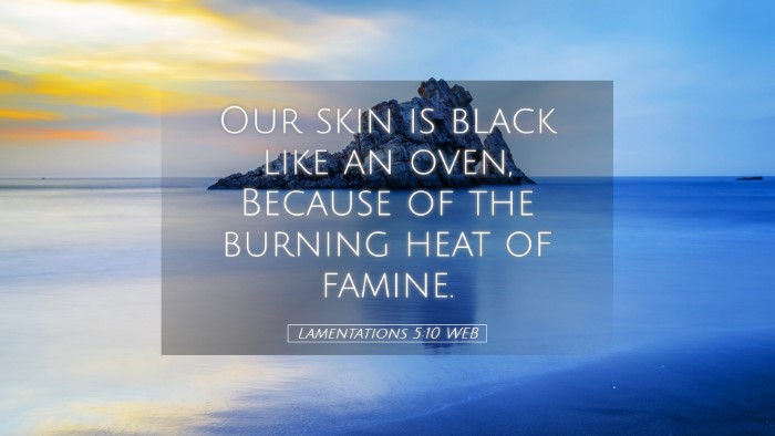 Picture 05 - Lamentations 5:10 WEB Desktop Wallpaper - Our skin is black like an oven, Because of the - Desktop Bible Verse Wallpaper