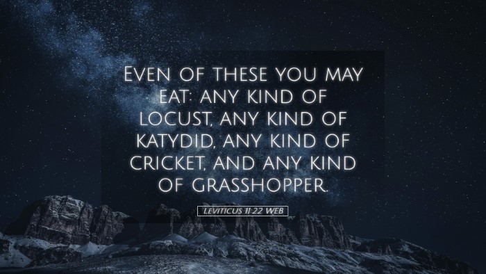 Picture 05 - Leviticus 11:22 WEB Desktop Wallpaper - Even of these you may eat: any kind of locust, - Desktop Bible Verse Wallpaper