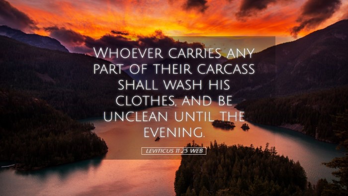 Picture 05 - Leviticus 11:25 WEB Desktop Wallpaper - Whoever carries any part of their carcass shall - Desktop Bible Verse Wallpaper