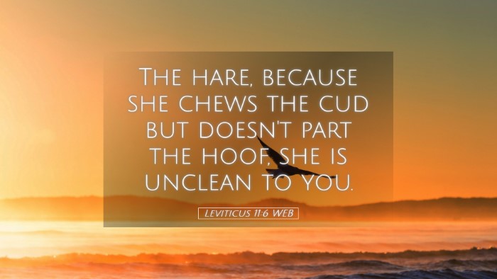 Picture 05 - Leviticus 11:6 WEB Desktop Wallpaper - The hare, because she chews the cud but doesn't - Desktop Bible Verse Wallpaper