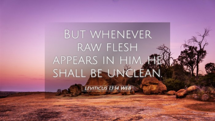 Picture 05 - Leviticus 13:14 WEB Desktop Wallpaper - But whenever raw flesh appears in him, he shall - Desktop Bible Verse Wallpaper